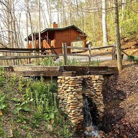 The Fishing Hole Cabin - Sage Vacations Гетлинбург Екстериор снимка