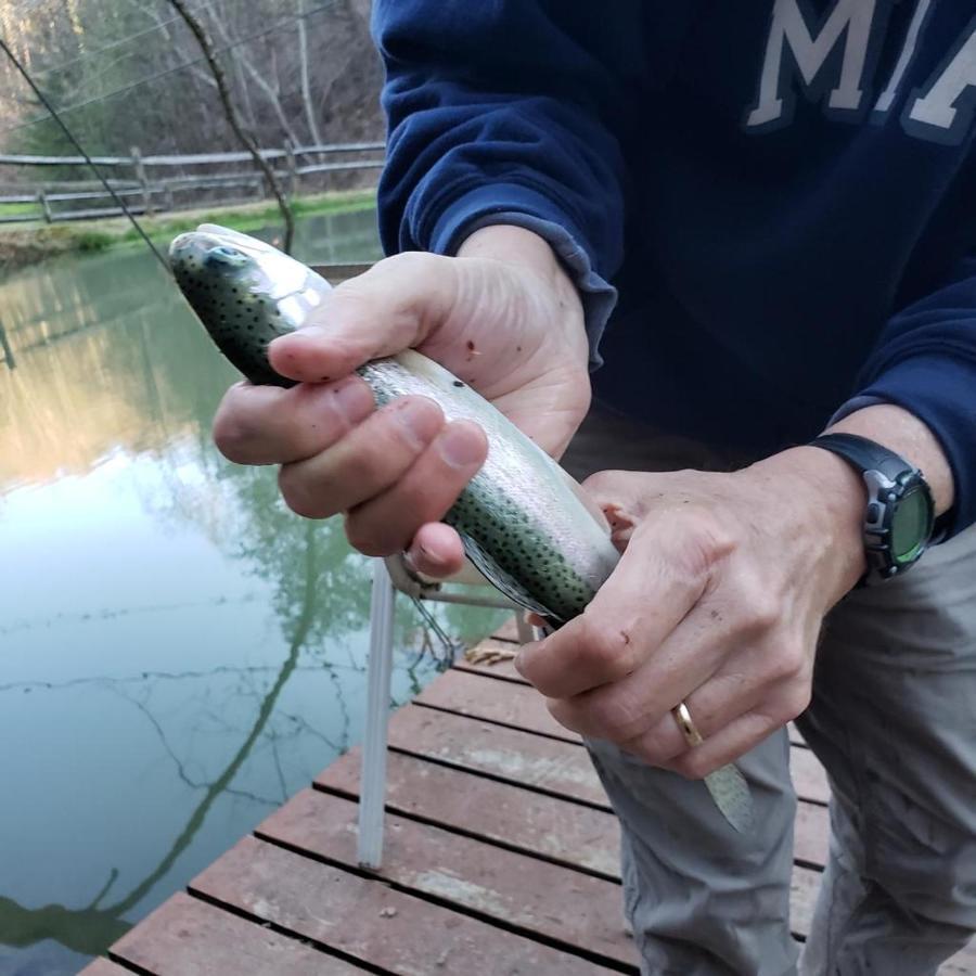 The Fishing Hole Cabin - Sage Vacations Гетлинбург Екстериор снимка