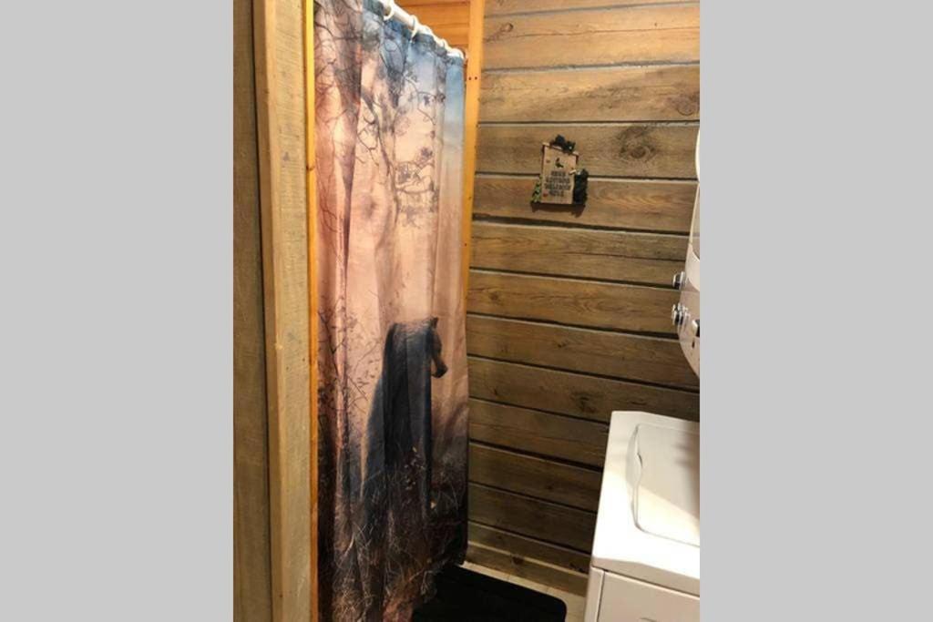 The Fishing Hole Cabin - Sage Vacations Гетлинбург Екстериор снимка